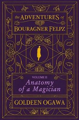 Book cover for The Adventures of Bouragner Felpz, Volume II