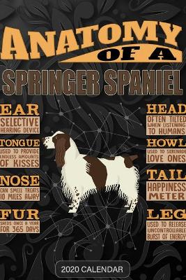Book cover for Anatomy Of A English Springer Spaniel