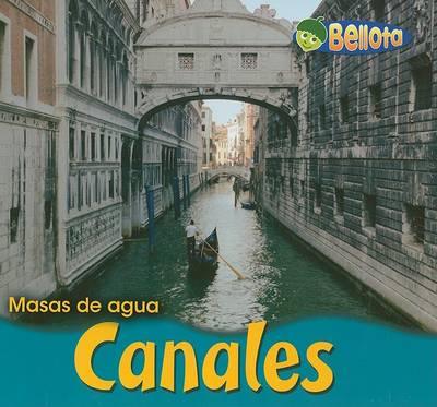 Book cover for Canales