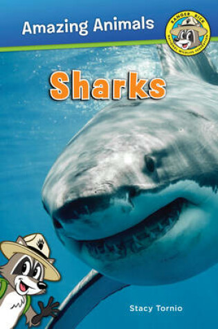 Cover of Sharks