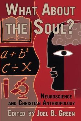 Book cover for What About the Soul?