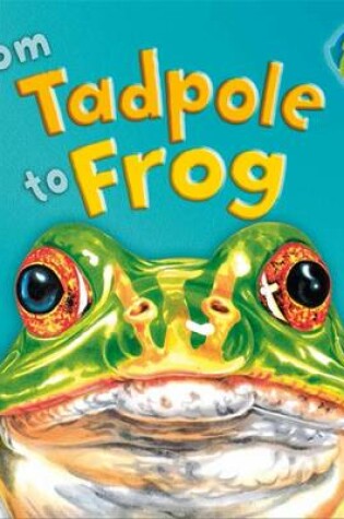 Cover of From Tadpole To Frog