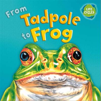 Book cover for From Tadpole To Frog