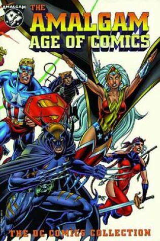 Cover of Amalgam Age Of Comics Dc Comics Coll TP