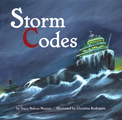 Book cover for Storm Codes