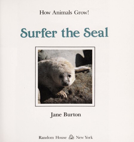 Book cover for Surfer the Seal