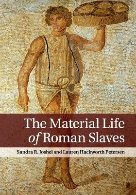 Book cover for The Material Life of Roman Slaves