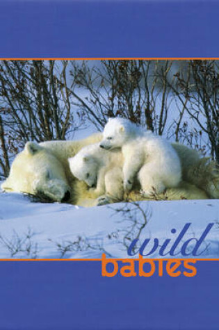 Cover of Wild Babies