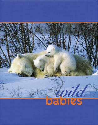 Book cover for Wild Babies