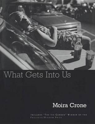 Book cover for What Gets Into Us