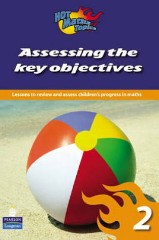 Cover of Hot Maths Topics: Assessing the Key Objectives 2