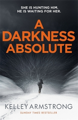 Book cover for A Darkness Absolute