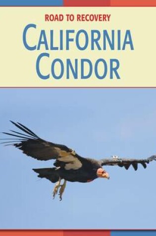 Cover of California Condor