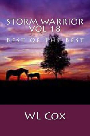 Cover of Storm Warrior Vol 18