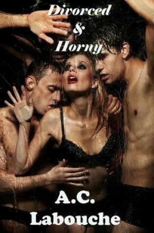 Cover of Divorced & Horny