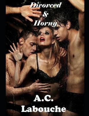 Book cover for Divorced & Horny