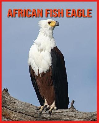 Book cover for African Fish Eagle