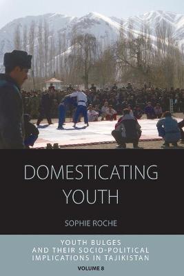 Cover of Domesticating Youth