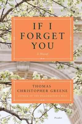 Book cover for If I Forget You