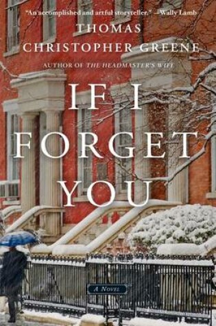 Cover of If I Forget You