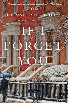 Book cover for If I Forget You