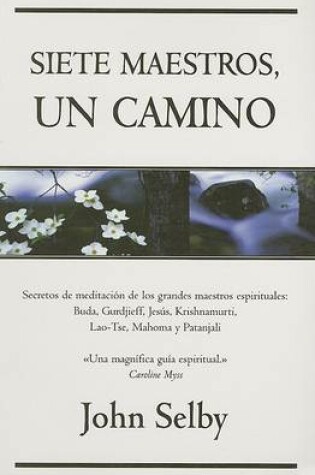 Cover of Siete Maestros, Un Camino