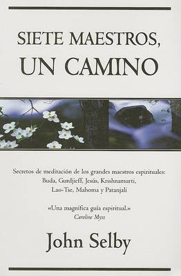 Book cover for Siete Maestros, Un Camino