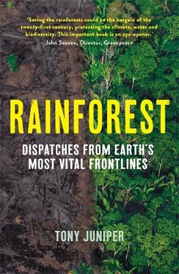 Book cover for Rainforest