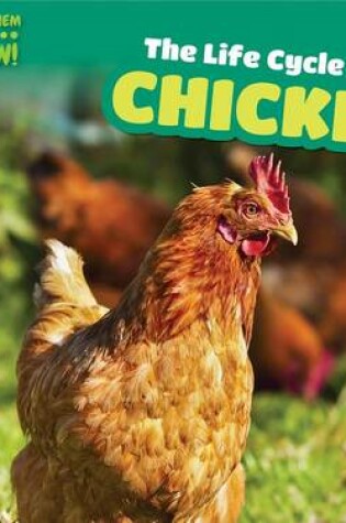 Cover of The Life Cycle of a Chicken