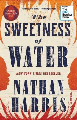 Book cover for The Sweetness of Water