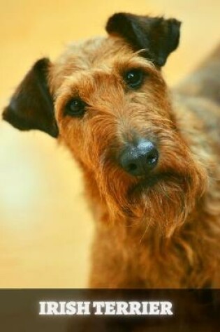 Cover of Irish Terrier