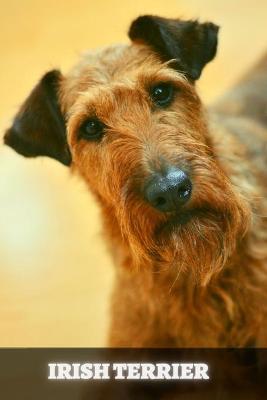 Book cover for Irish Terrier