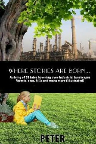Cover of Where stories are born
