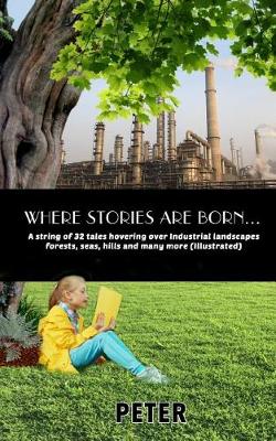 Book cover for Where stories are born