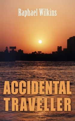 Book cover for Accidental Traveller