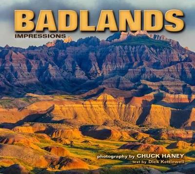 Book cover for Badlands Impressions