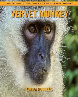 Book cover for Vervet Monkey