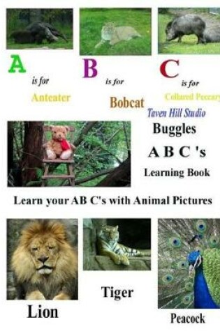 Cover of Buggles Learn the A B C's Book