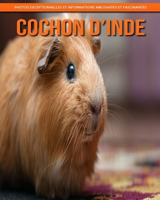 Book cover for Cochon d'Inde