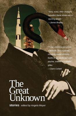 Book cover for Great Unknown