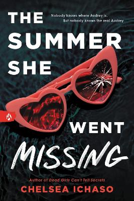 Book cover for The Summer She Went Missing