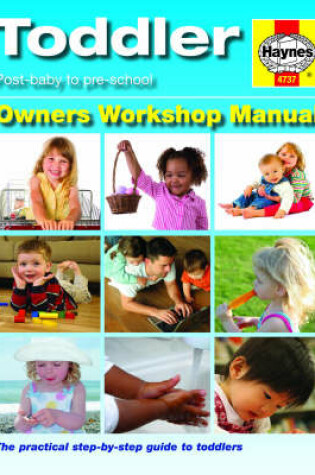 Cover of The Toddler Manual