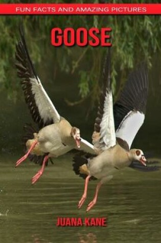 Cover of Goose