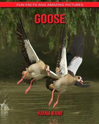 Book cover for Goose