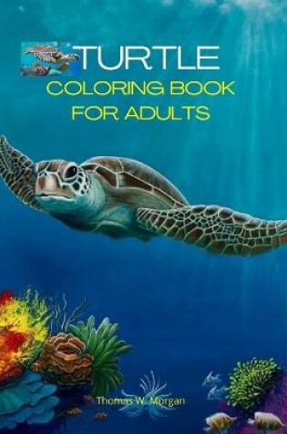 Cover of Turtle Coloring Book for Adults