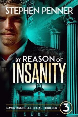 Cover of By Reason of Insanity