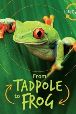 Cover of From Tadpole to Frog