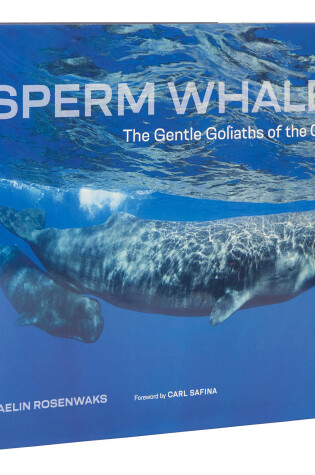 Cover of Sperm Whales