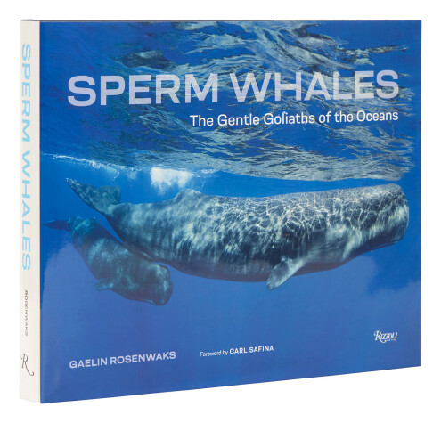 Book cover for Sperm Whales