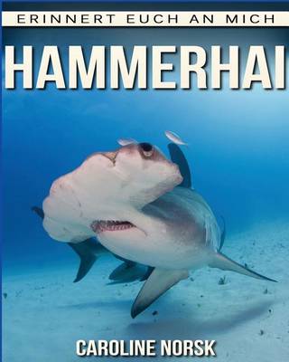 Book cover for Hammerhai